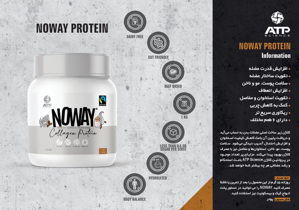 پروتئین ای تی پی ساینس Noway طعم توت فرنگی